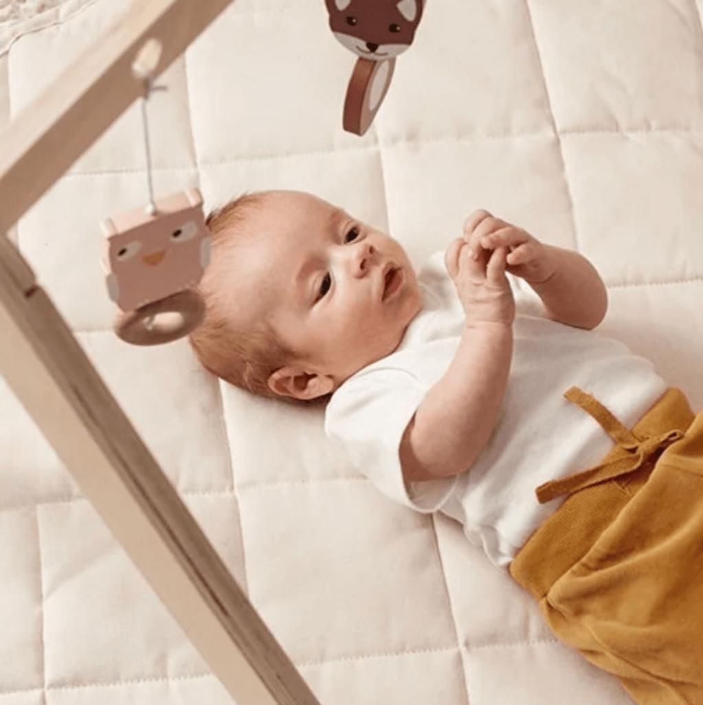 Brinquedos para 0 a 6 meses